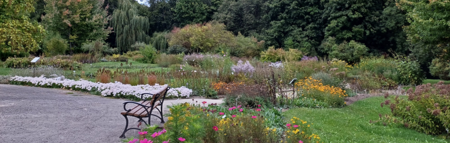 Witamy na stronie Ogrodu Botanicznego!
