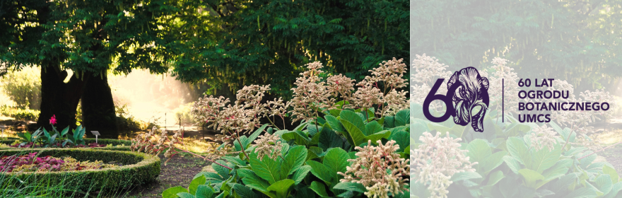Witamy na stronie Ogrodu Botanicznego!
