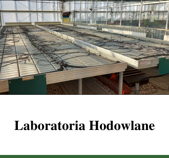 Laboratoria Hodowlane