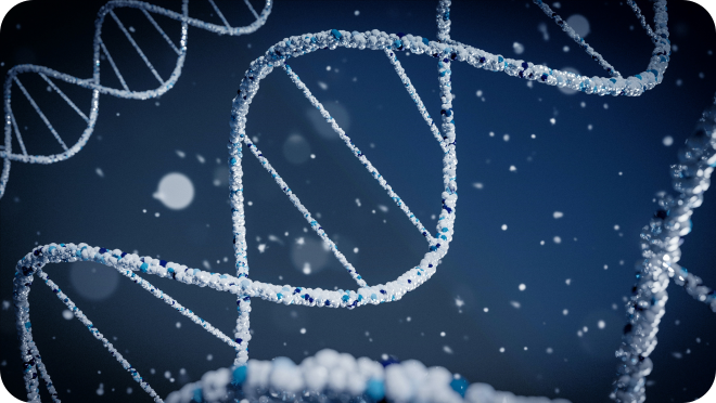 Rekrutacja do szkół doktorskich