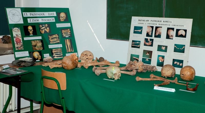 Drzwi Otwarte UMCS 2014 w Instytucie Archeologii.