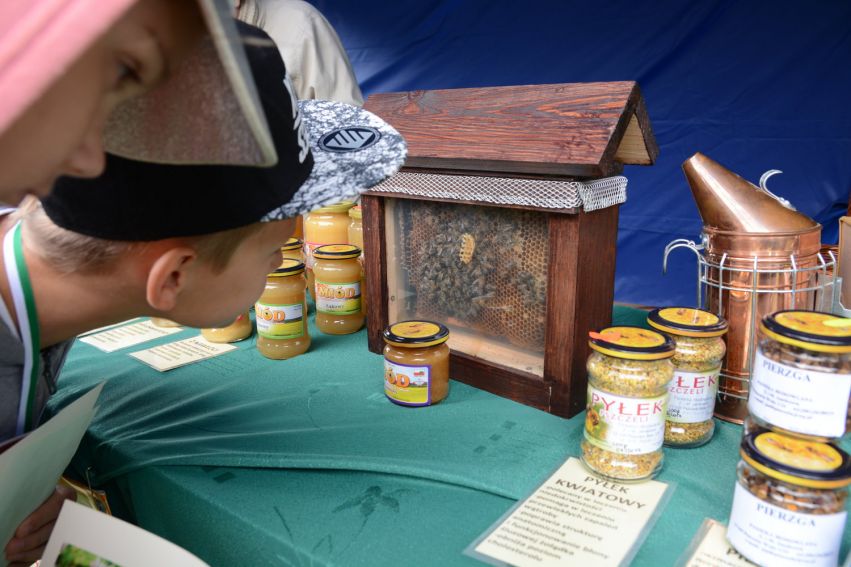 Święto Pszczół i spacer po Ogrodzie Botanicznym UMCS