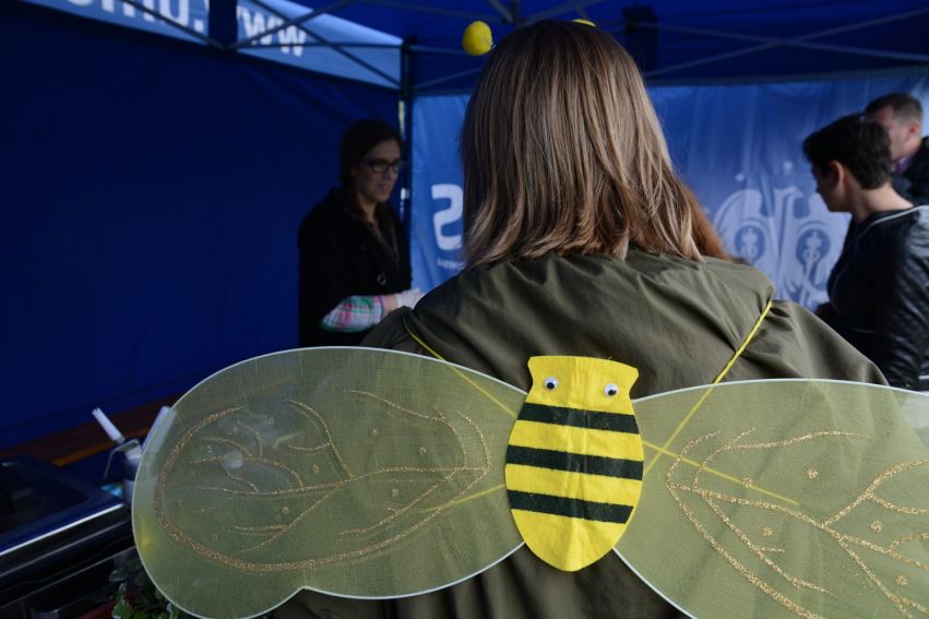 Święto Pszczół i spacer po Ogrodzie Botanicznym UMCS