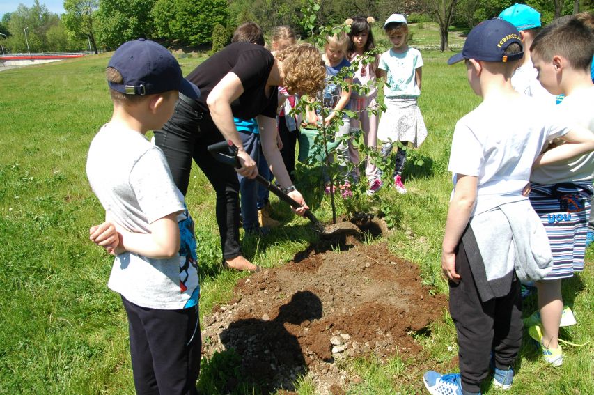 9 maja: Sadzenie drzewa przez uczniów SP w Konopnicy