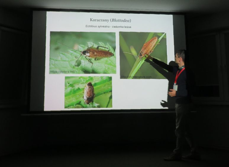 Warsztaty Entomologiczne „Świat owadów wokół Nas”