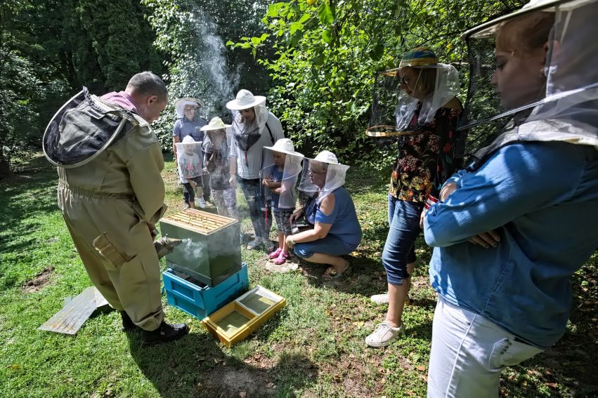 Święto Pszczół w Ogrodzie Botanicznym UMCS