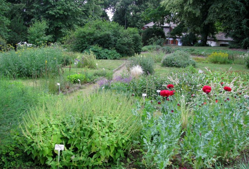 Ogród Botaniczny - Dział Roślin Południowej i...