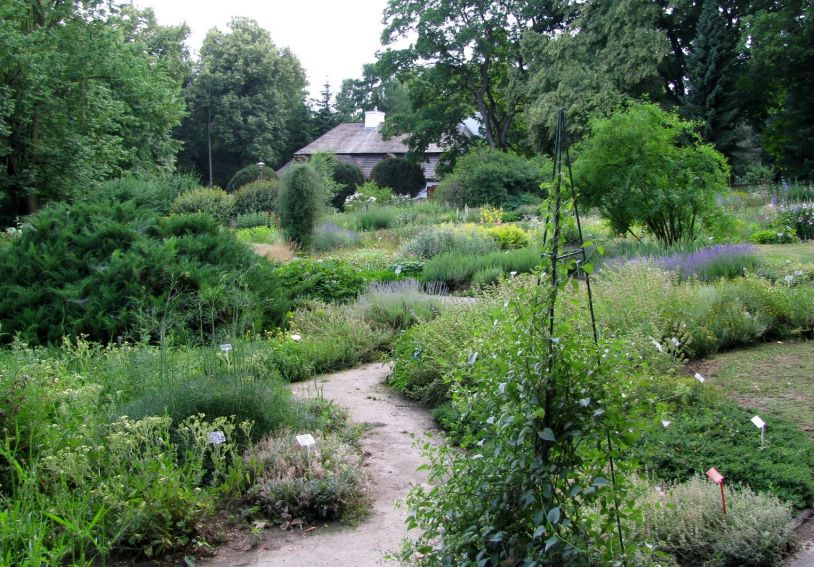 Ogród Botaniczny - Dział Roślin Południowej i...