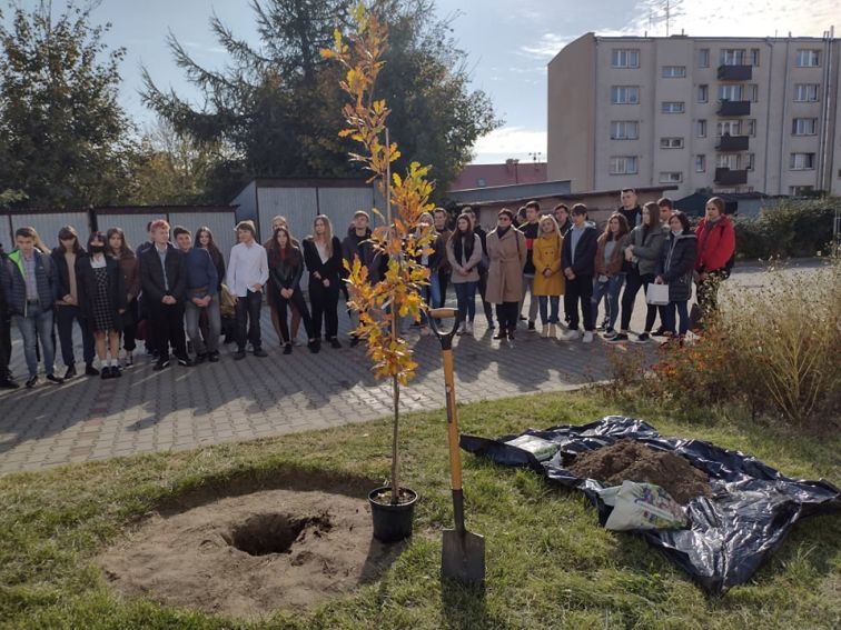 Podsumowanie wspólnej akcji sadzenia drzew z UMCS. Święto...