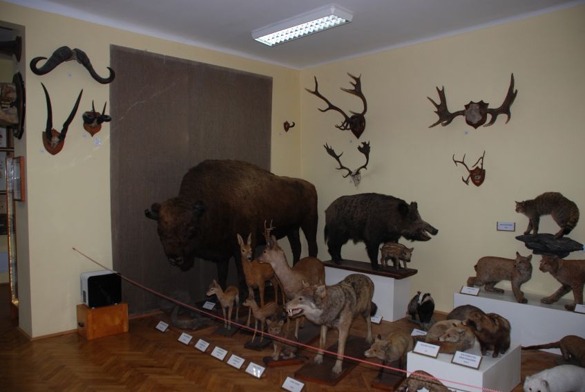 Muzeum Zoologiczne w 2015