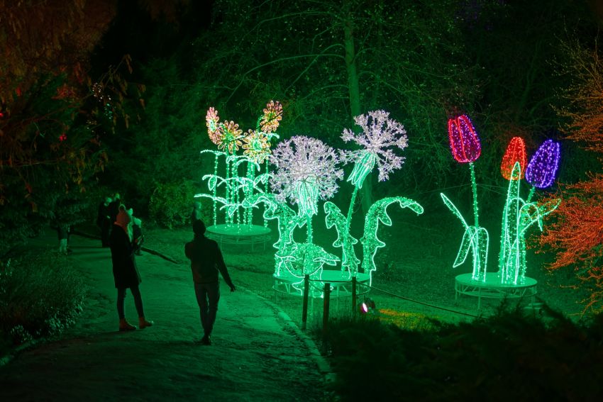 Lumina Park w nowej odsłonie w Ogrodzie Botanicznym UMCS