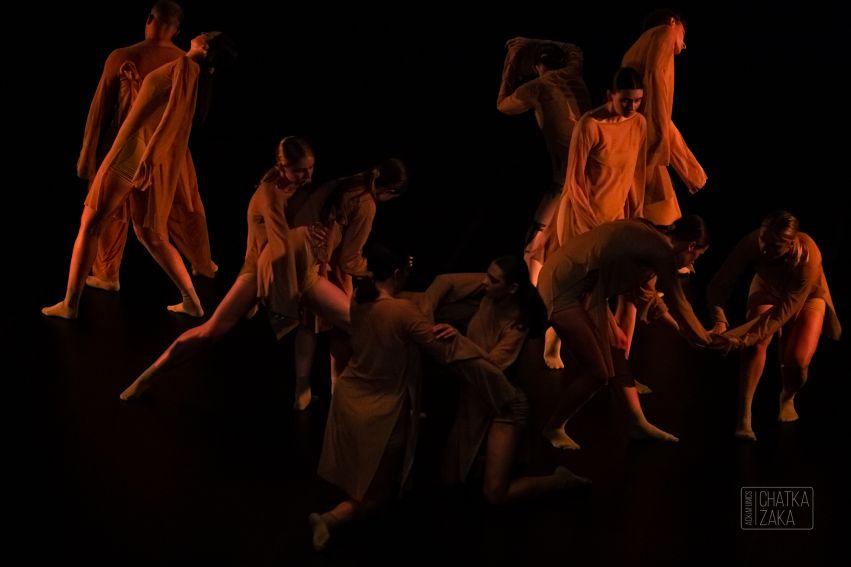 TRIBE - Teatr Tańca Zmysł