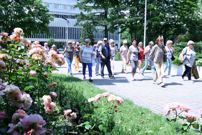 Wizyta włodawskiego UTW na UMCS
