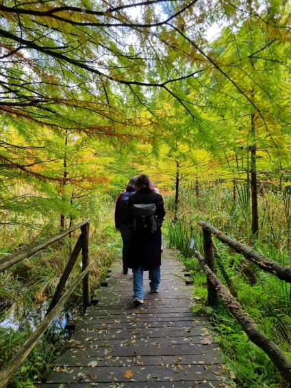 Wyjazd Koła APIS do Arboretum w Bolestraszycach