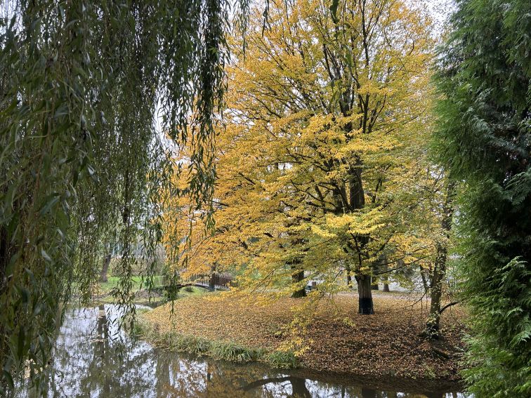 Październik w Ogrodzie