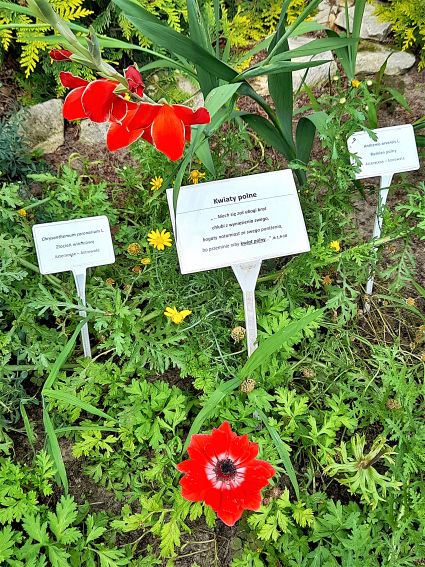 Ogród Biblijny
