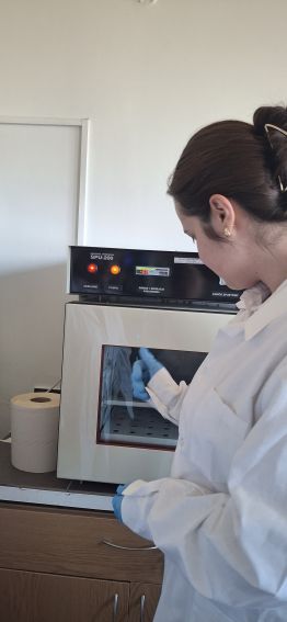 LAB