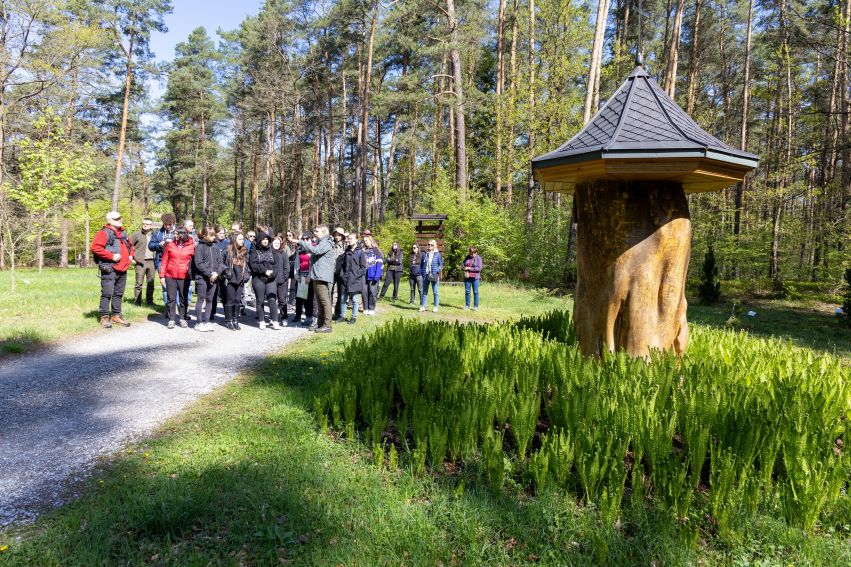 Sadzenie lasu przez pracowników i studentów w Lasach...