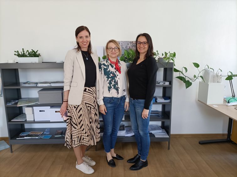 Projekt GO-ING- Dyrektor Centrum Współpracy...
