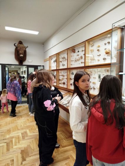 Noc Muzeów w Muzeum Zoologicznym