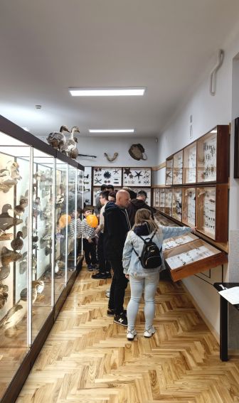 Noc Muzeów w Muzeum Zoologicznym