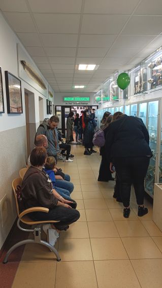 Noc Muzeów w Muzeum Zoologicznym