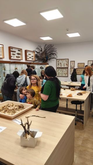 Noc Muzeów w Muzeum Zoologicznym