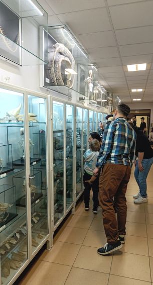 Noc Muzeów w Muzeum Zoologicznym