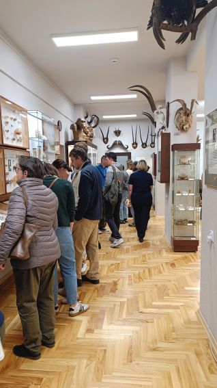 Noc Muzeów w Muzeum Zoologicznym