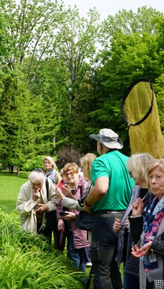Dzień Ważki w Ogrodzie Botanicznym UMCS - fotorelacja