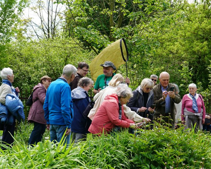 Dzień Ważki w Ogrodzie Botanicznym UMCS - fotorelacja