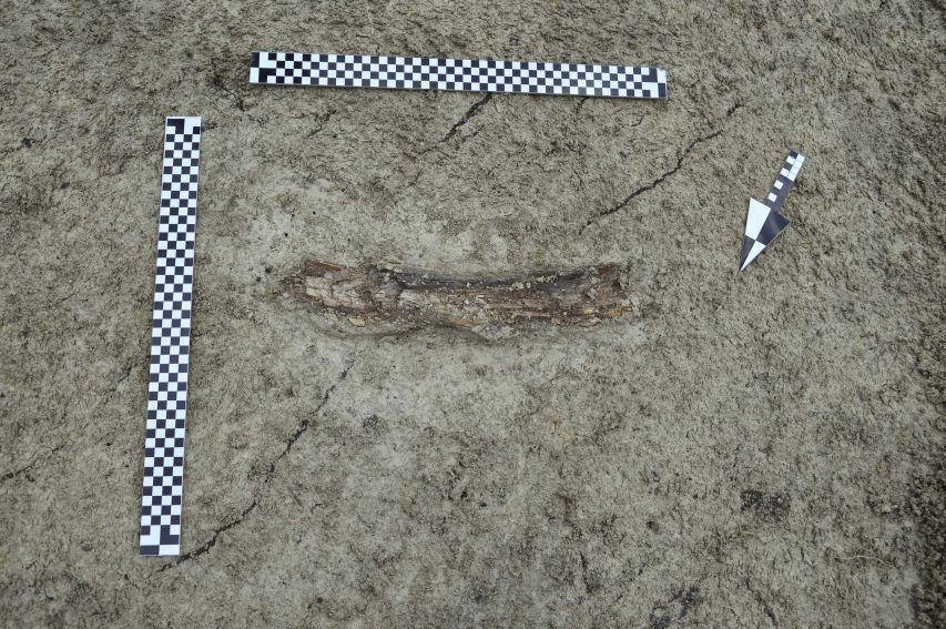 Prace archeologiczne na stanowisku w Łabuniach - odkrycie...