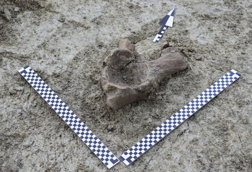 Prace archeologiczne na stanowisku w Łabuniach - odkrycie...
