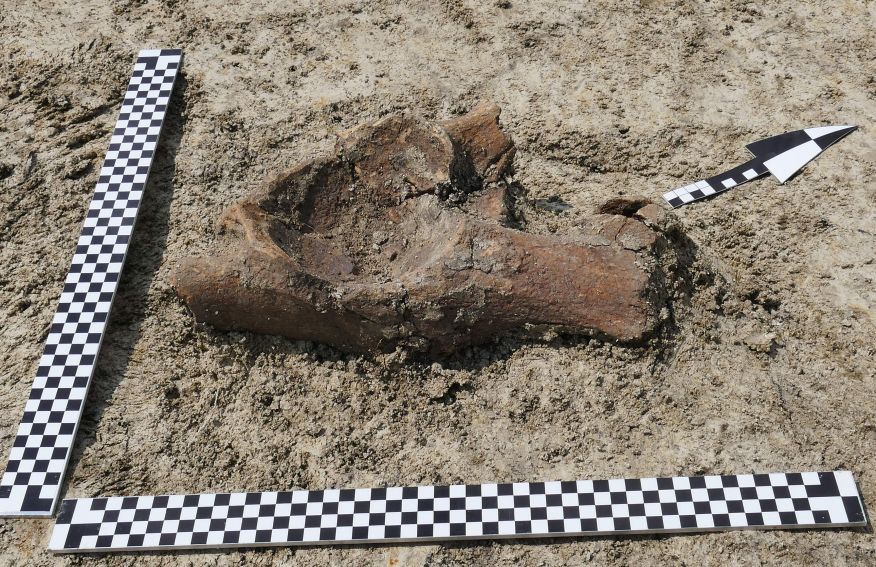 Prace archeologiczne na stanowisku w Łabuniach - odkrycie...