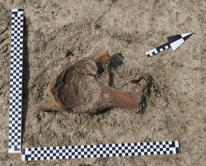 Prace archeologiczne na stanowisku w Łabuniach - odkrycie...