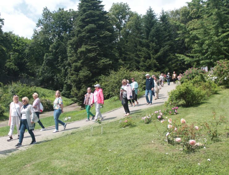 Lubelskie Dni Seniora 2025 - fotorelacja