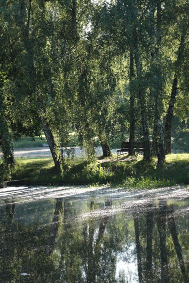 Czerwiec w Ogrodzie