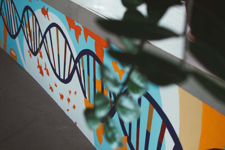 Mural studentów Wydzialu Artystycznego