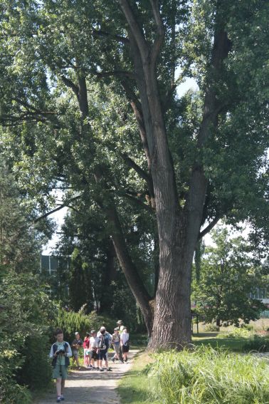 Letnia Akademia Młodego Przyrodnika (edycja I)