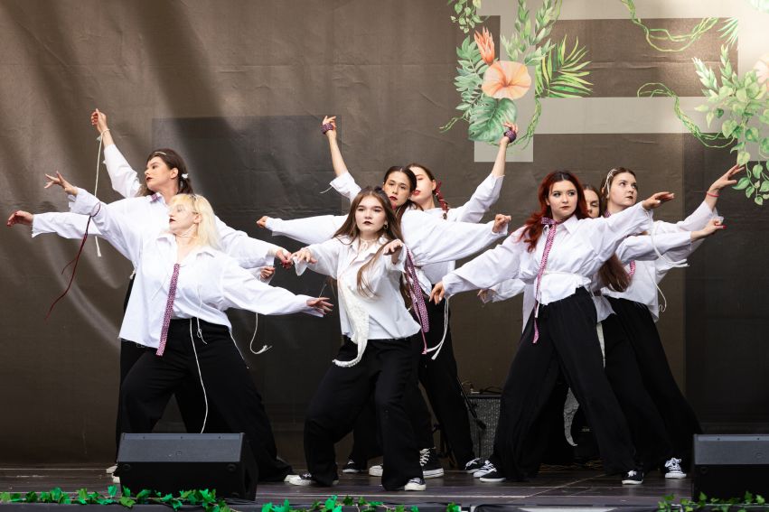 Dni Animacji Kultury 2025