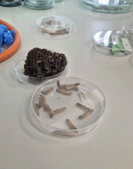 XXI Lubelski Festiwal Nauki