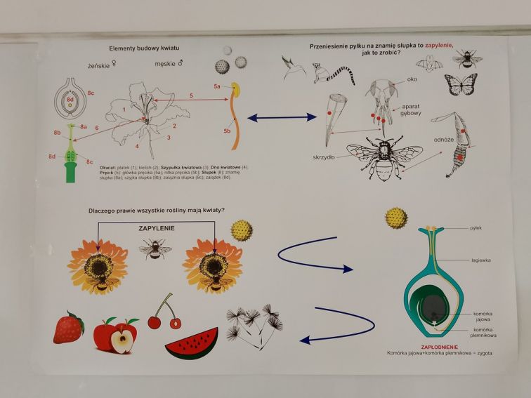 XXI Lubelski Festiwal Nauki