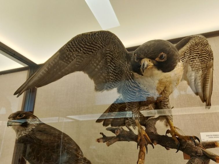 XXI Lubelski Festiwal Nauki