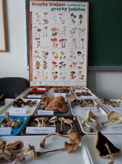 XXI Lubelski Festiwal Nauki