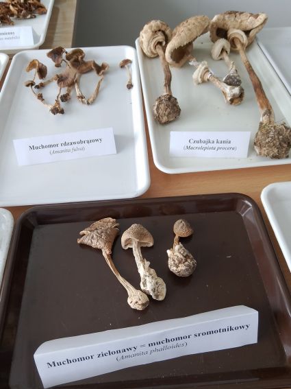 XXI Lubelski Festiwal Nauki