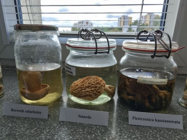 XXI Lubelski Festiwal Nauki