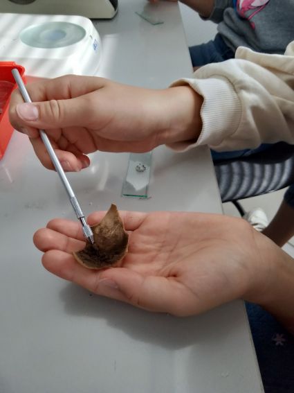 XXI Lubelski Festiwal Nauki