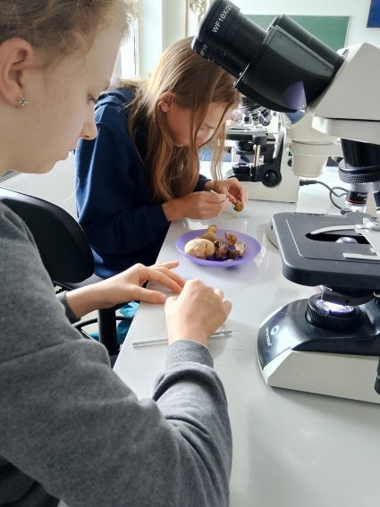 XXI Lubelski Festiwal Nauki