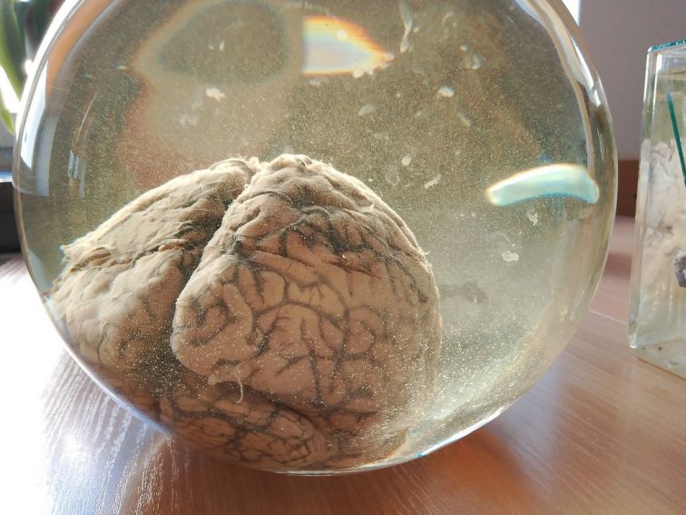 XXI Lubelski Festiwal Nauki