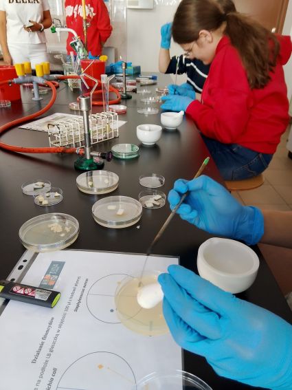 XXI Lubelski Festiwal Nauki